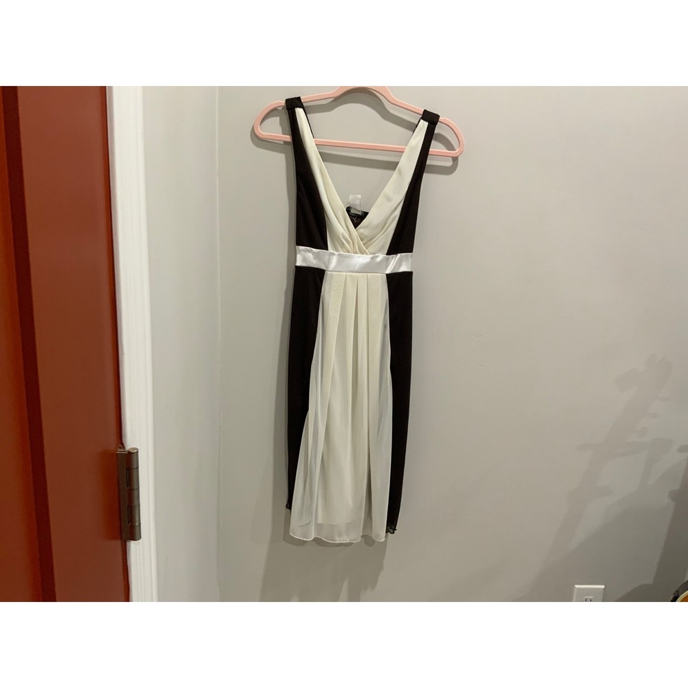 Alyn Paige New York Brown Ivory V-Neck Empire Waist Chiffon Dress Small NWT